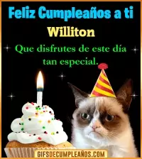 GIF Gato meme Feliz Cumpleaños Williton